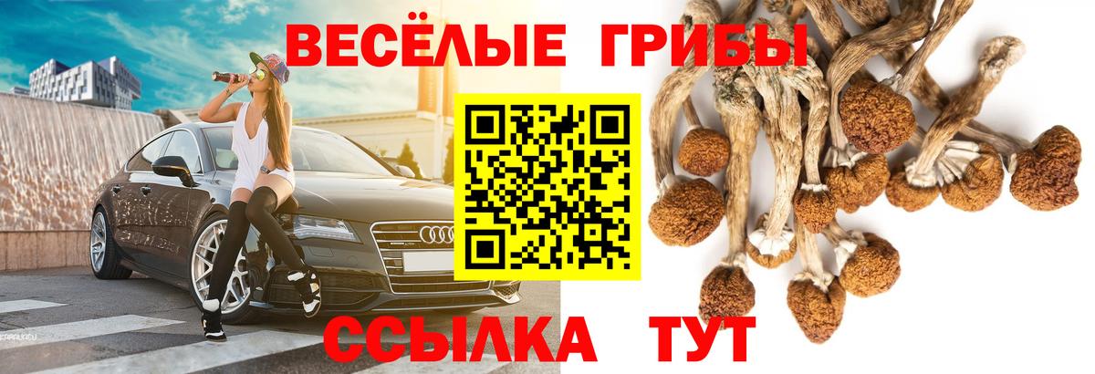Галлюциногенные грибы Cubensis Среднеуральск